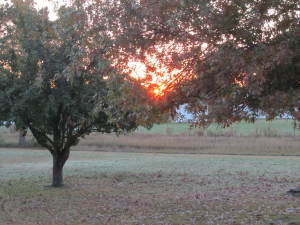 IMG_5069.JPG