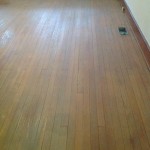 Floors after staining and sealing, tomorrow the first coat of Bona Traffic satin finish.