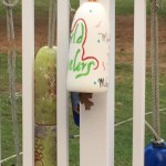 Paul Remiras' Buoy, although Paula claims it a work in progress!