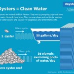 Cleanwater