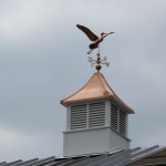 IMG_5461
