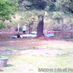 Creek.20160509_155345