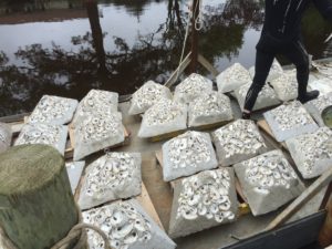 Oyster Reef Modules (Pyramids)