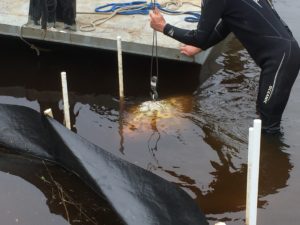 Setting a module in the creek to form a reef