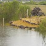 DSCN0015